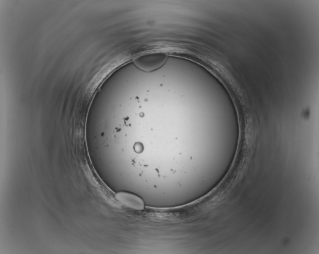 X0000116351281200912151342