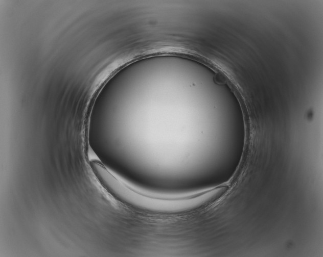 X0000116351282200912151342