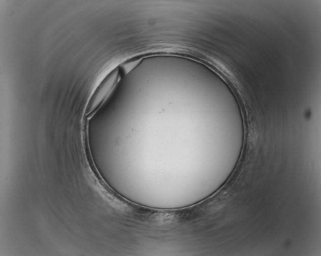 X0000116351283200912151342