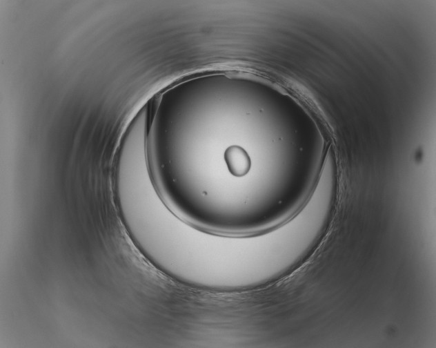 X0000116351284200912151342