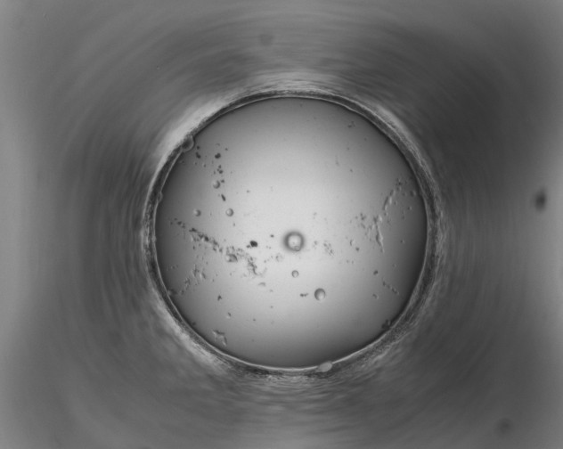 X0000116351285200912151342