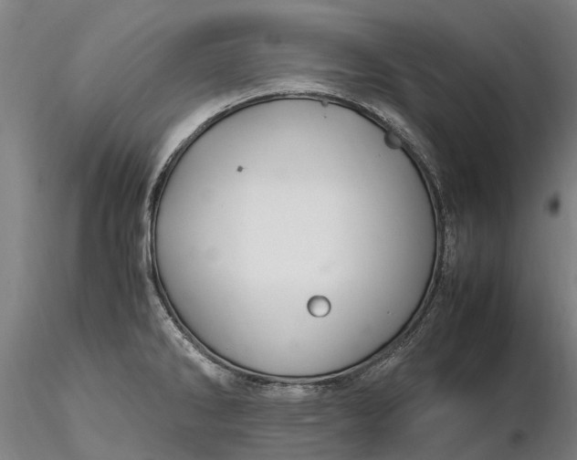 X0000116351286200912151342