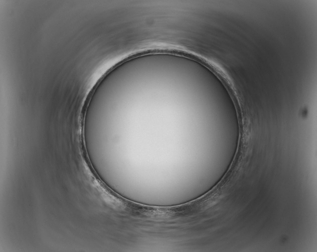 X0000116351287200912151342