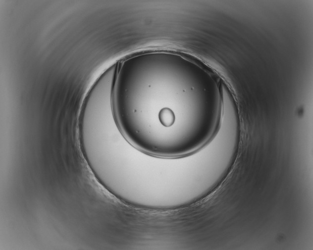 X0000116351288200912151342