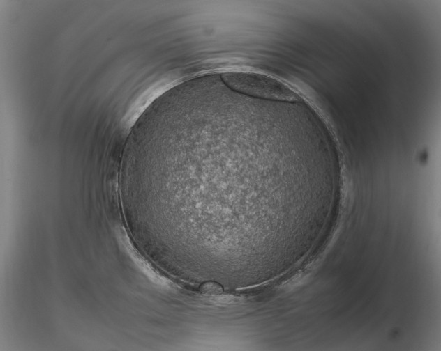 X0000116351289200912151342