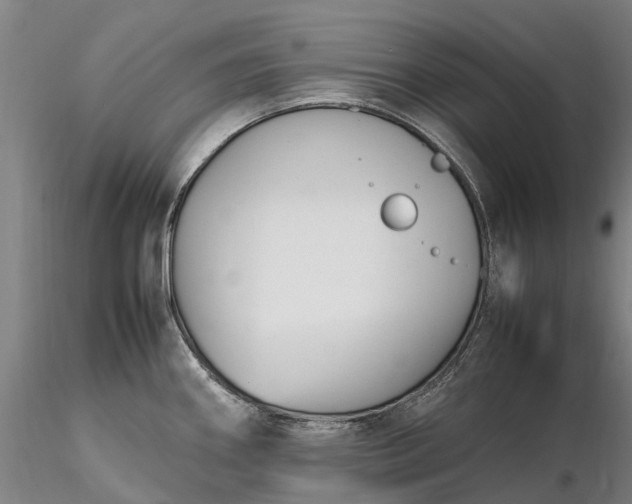 X0000116351290200912151342