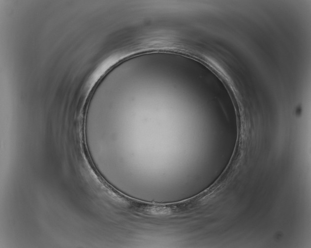 X0000116351291200912151342