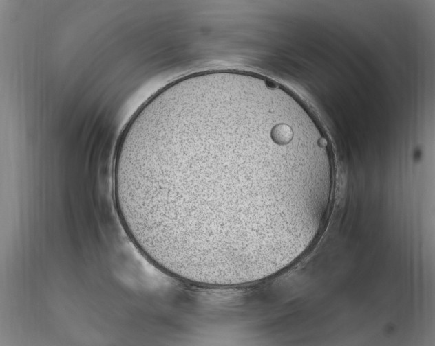 X0000116351294200912151342