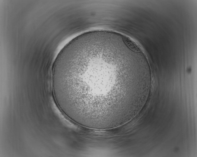 X0000116351295200912151342