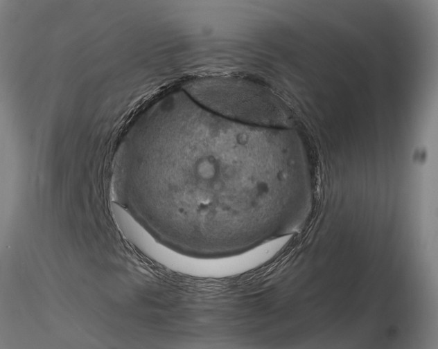 X0000116351297200912151341