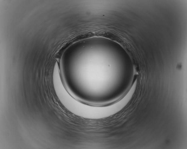 X0000116351298200912151341