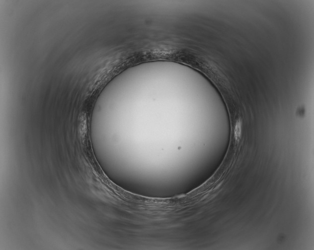 X0000116351299200912151341