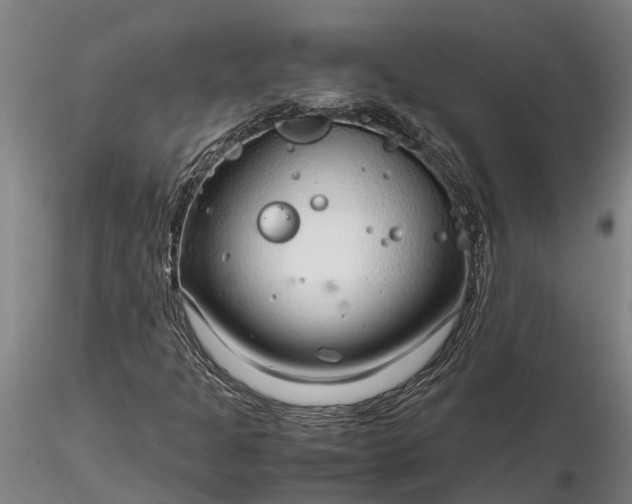 X0000116351301200912151341