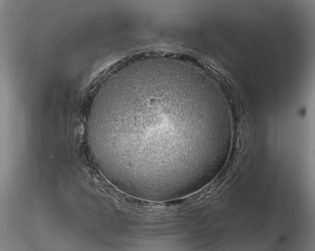 X0000116351302200912151341