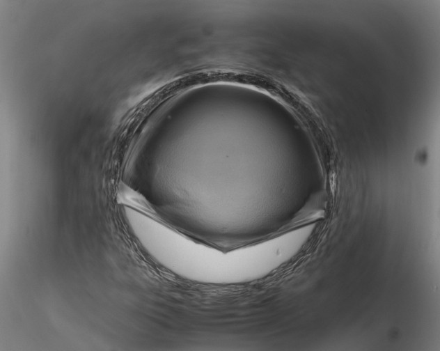 X0000116351303200912151341