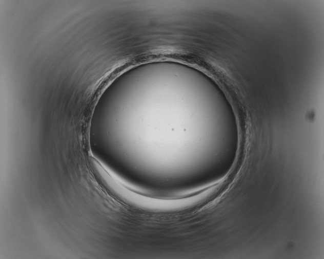 X0000116351305200912151341