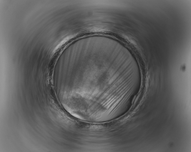 X0000116351306200912151341