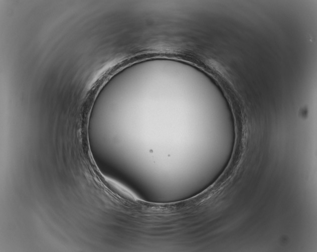 X0000116351307200912151341