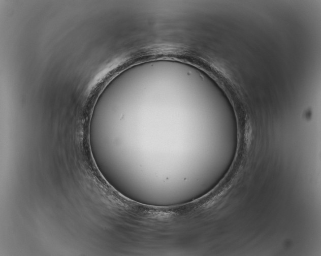 X0000116351309200912151341