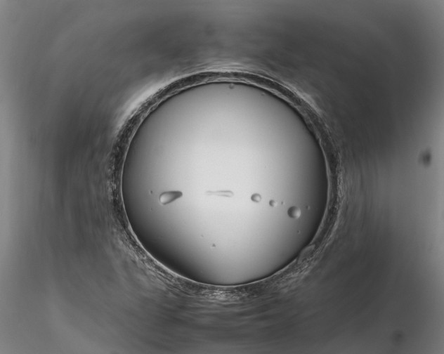 X0000116351311200912151341