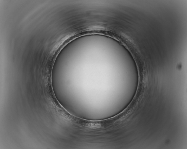 X0000116351313200912151341