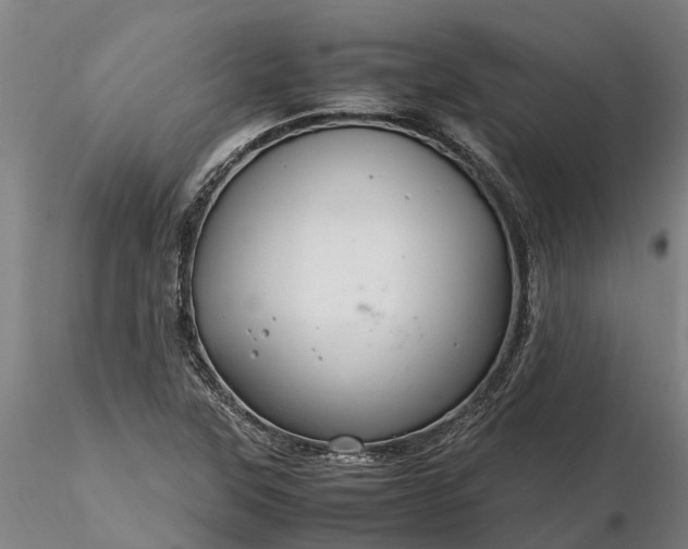 X0000116351315200912151341