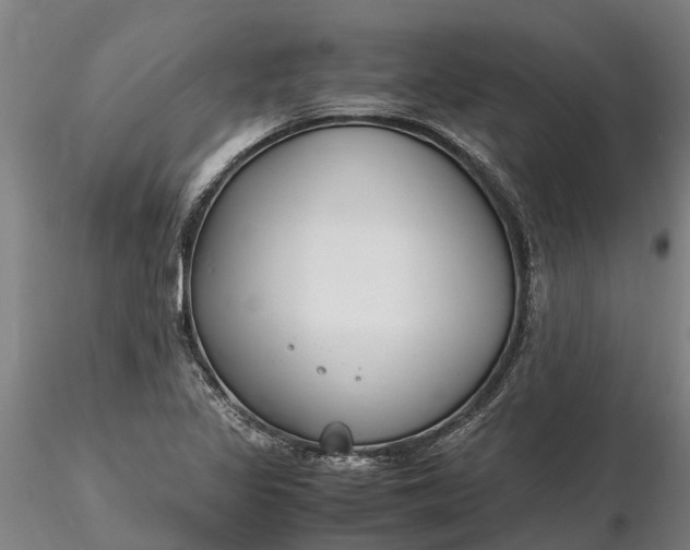 X0000116351317200912151341