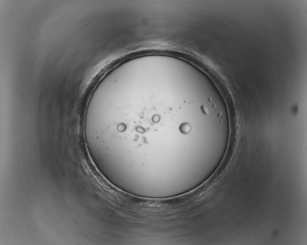 X0000116351318200912151341