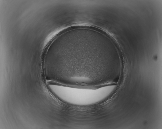 X0000116351319200912151342