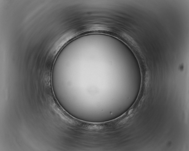 X0000116351321200912151342