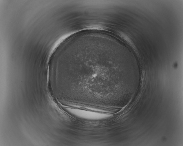 X0000116351323200912151342