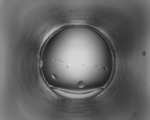 X0000116351325200912151342