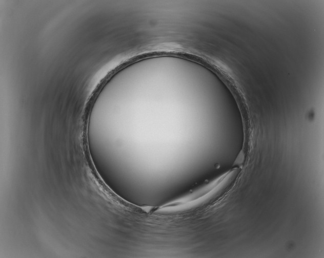 X0000116351326200912151342