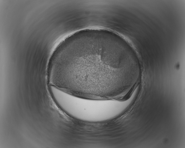 X0000116351327200912151342