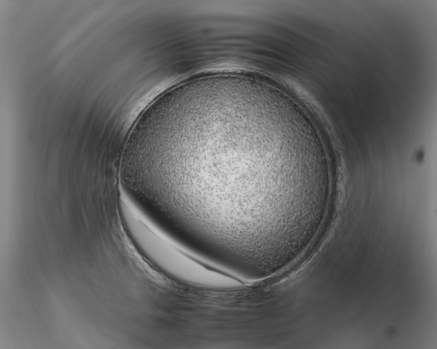 X0000116351329200912151342