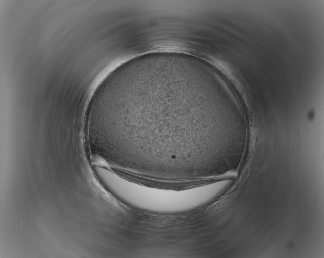 X0000116351331200912151342