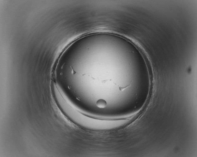 X0000116351333200912151342