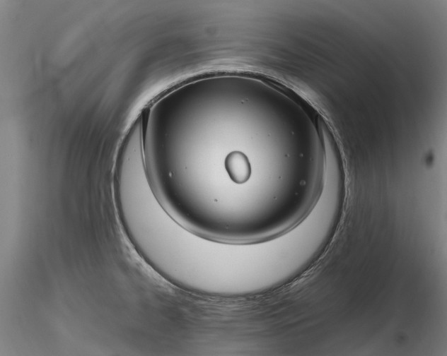 X0000116351334200912151342