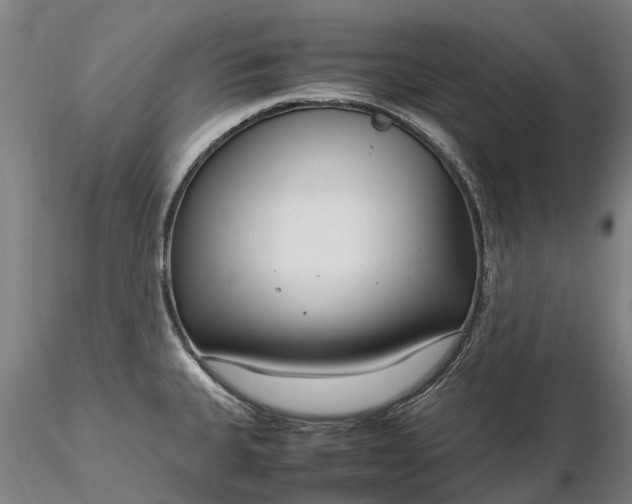 X0000116351335200912151342