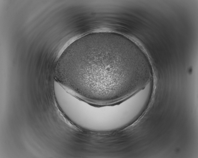 X0000116351337200912151342