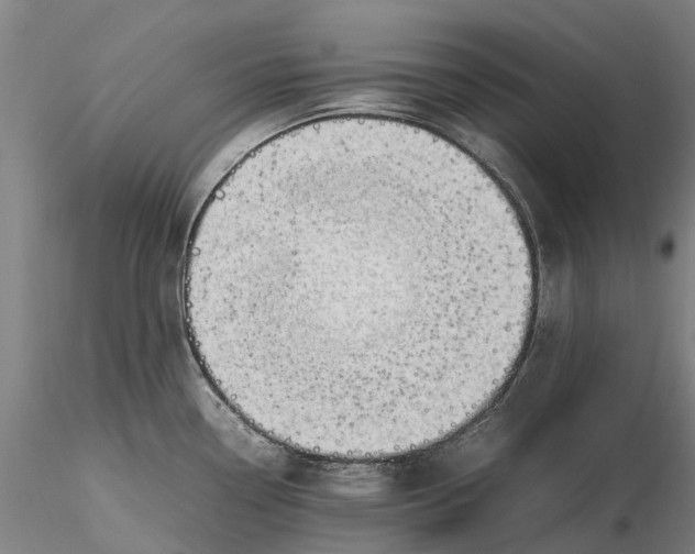 X0000116351338200912151342