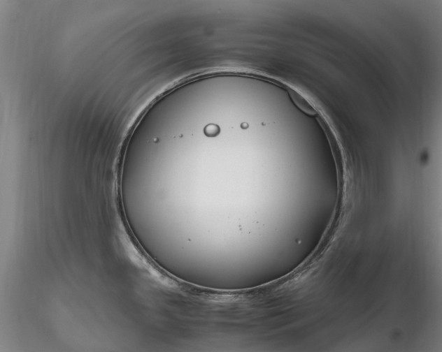 X0000116351341200912151342