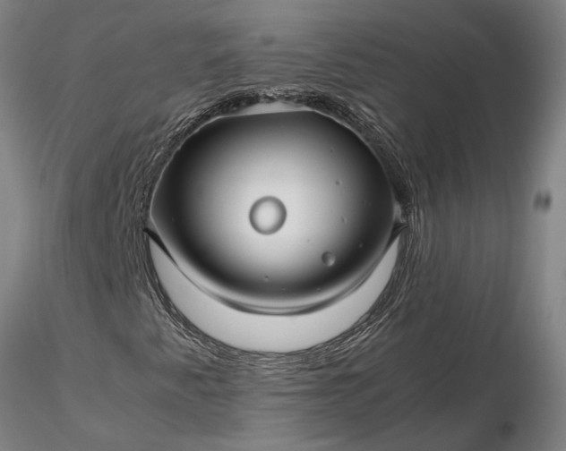 X0000116351345200912151341