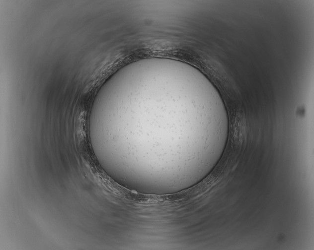 X0000116351346200912151341