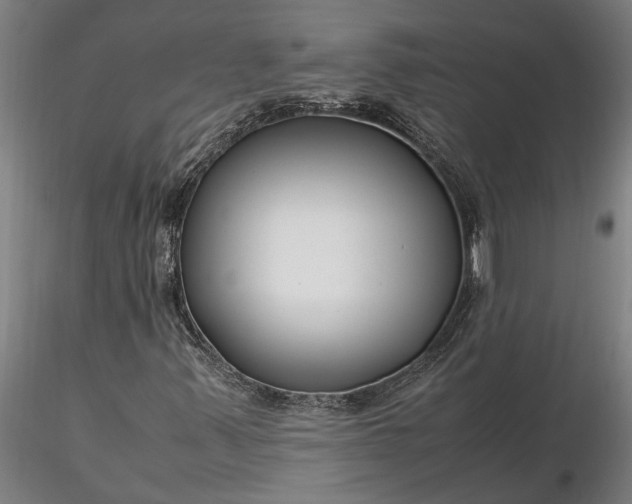 X0000116351347200912151341