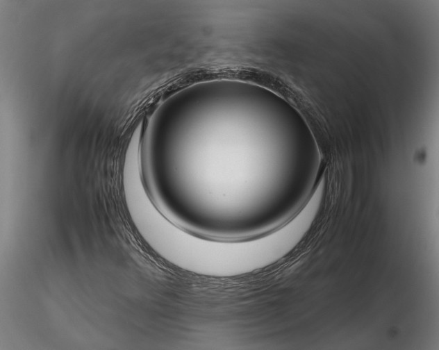 X0000116351348200912151341