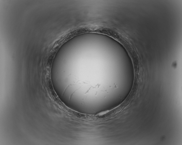 X0000116351349200912151341