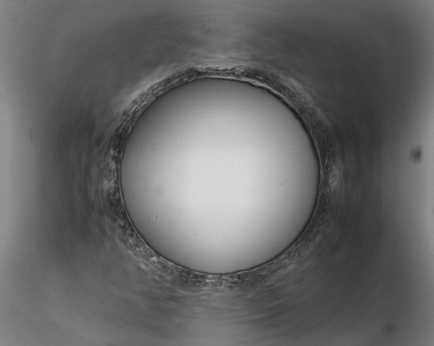 X0000116351350200912151341