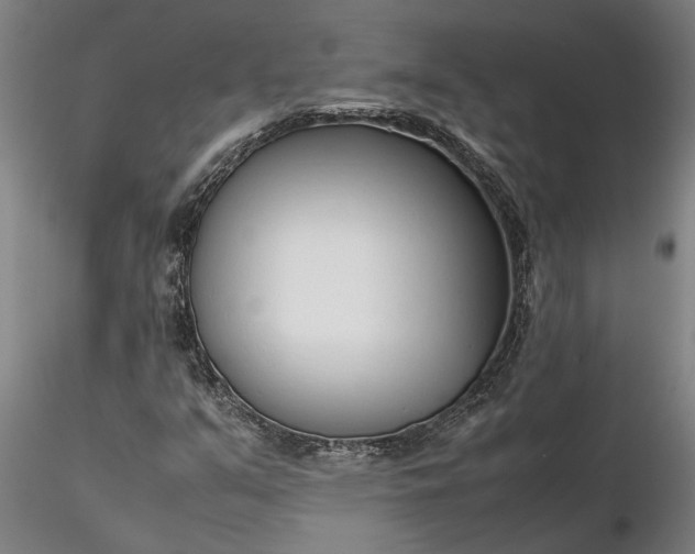 X0000116351351200912151341