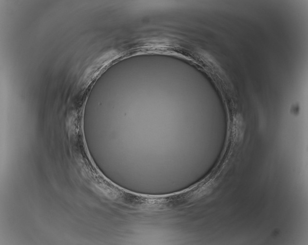 X0000116351353200912151341